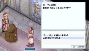 娘がプリーストになりました